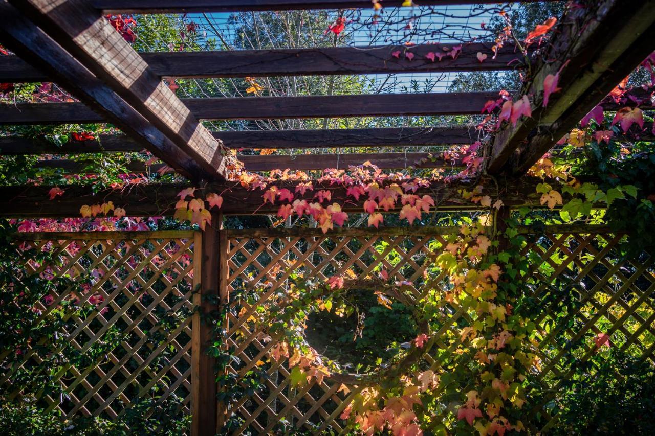 Apartmán Le Fontanelle Bagnoregio Exteriér fotografie